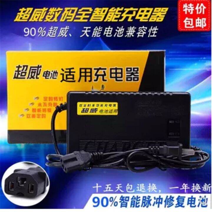 luyuan electric bike battery