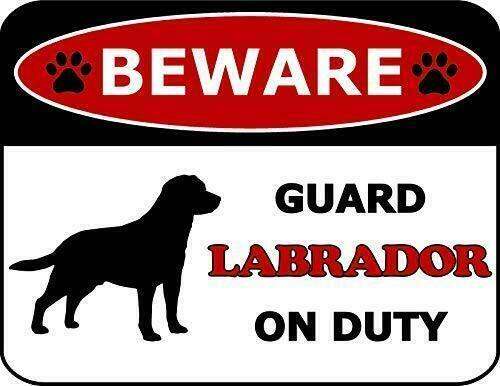 Beware Guard Labrador On Duty Dog Sign SP | Lazada PH