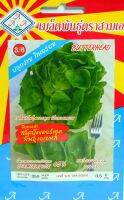 ผักกาดหอมบัตเตอร์เฮด Butterhead Lettuce พันธุ์เอเธนส์ เมล็ดพันธุ์ตราสามเอ