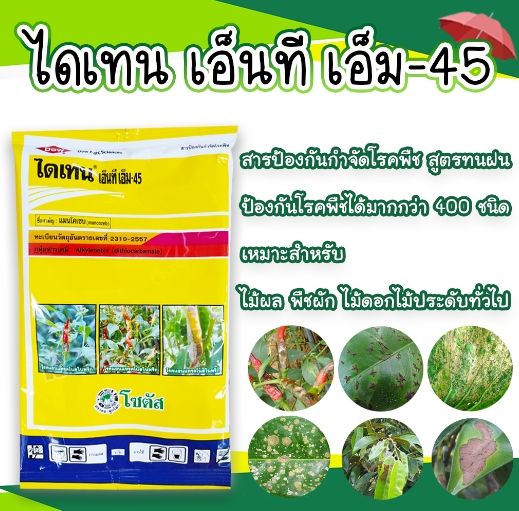 ไดเทน-1กิโลกรัม-แมนโคเซบ-กำจัดเชื้อรา-แบบสัมผัส-ไดเทน-เอ็นที-เอ็ม