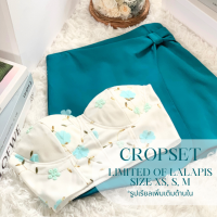 CROPSET - คร็อปเซ็ตสองชิ้นเสื้อเกาะอกและกระโปรง เสื้อลายปัก