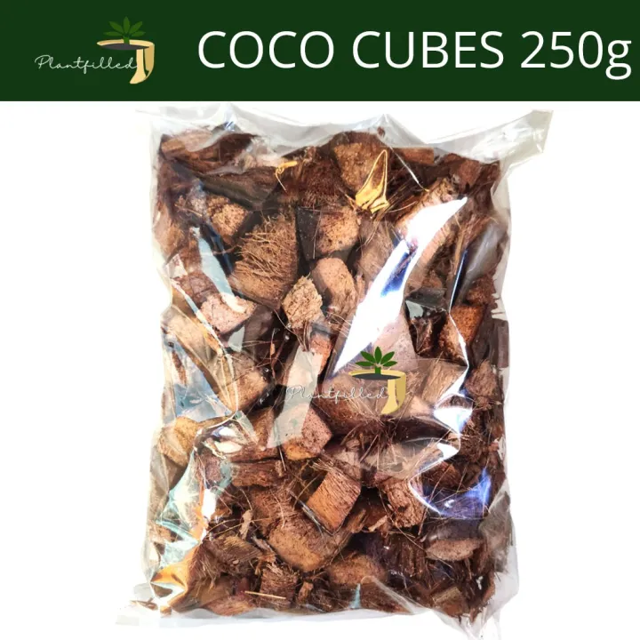 [Plantfilled] Coco Cubes for Gardening Plant Orchids 250g Lazada PH