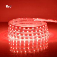 High Brightness LED Strips Light/Tape 220V EU Plug Waterproof 120LEDs/m Warm/Natural/White Red Green Blue Pink Colors Wall Lamp