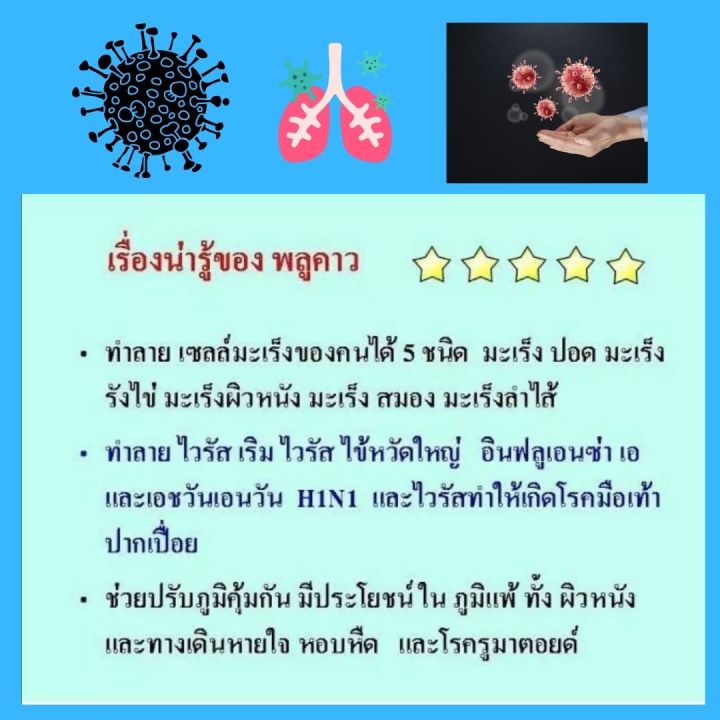 ส่งฟรี-ผลิตภัณฑ์เสริมอาหาร-พลูคาวสกัด-ผสมเบต้า-กลูแคน-ตรา-กิฟฟารีน-เสริมภูมิ-คุ้มกัน-ของร่างกาย