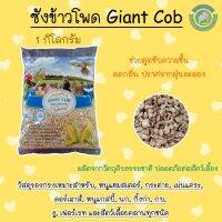 ซังข้าวโพด Giant Cob ที่รองกรงสำหรับสัตว์เลี้ยง (ปริมาณ 1 กิโลกรัม)