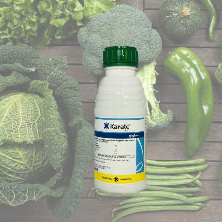 Karate insecticide 500mL | Lazada PH