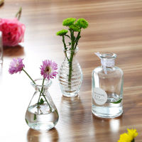 Small Glass Vase Flower Pot Basket Bottles Home Decoration Nordic Deco Dried Flower Hydroponic Small Transparent Bottle