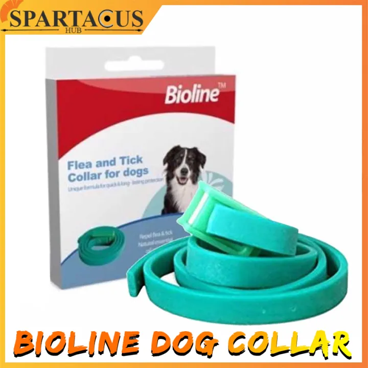 are essential oil flea and tick collars safe for dogs
