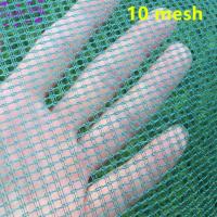 Grid 3mm Green Family Breeding net Fish cages materials Plastic nets cloth aquaculture Fishing net Anti-bird Net Insect proof 1m