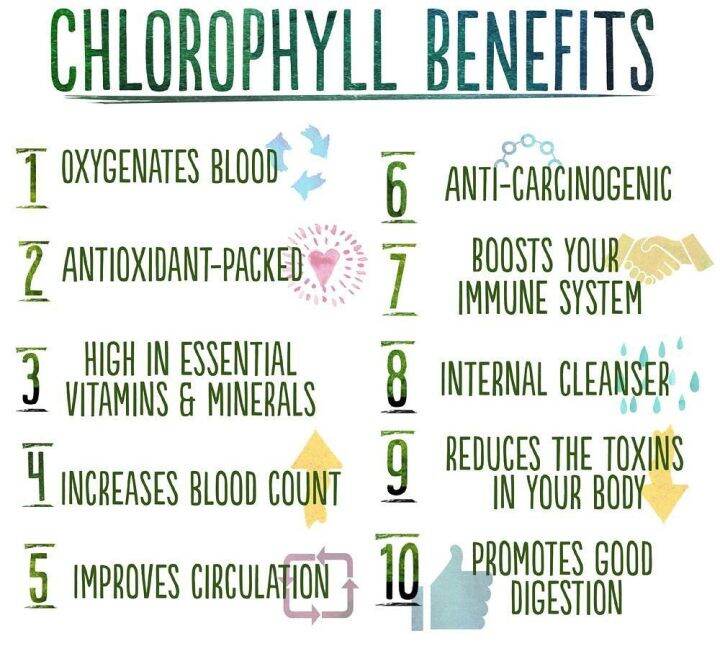 คลอโรเฟรช-คลอโรฟิลล์คอมเพล็กซ์-chlorofresh-chlorophyll-concentrate-100-mg-90-softgels-natures-way