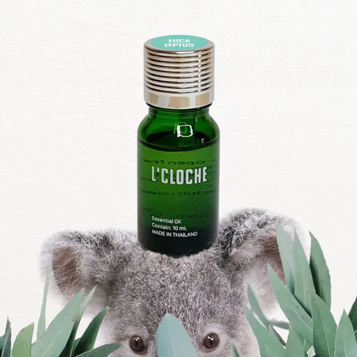 Chinese Eucalyptus Essential Oil ขนาด 10mL น้ำมันหอมระเหย นำเข้าจาก