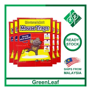 Green Killer Mouse & Rat Sticky Glue Trap Board Pest Control Rats Catcher  Papan Pelekat Tikus