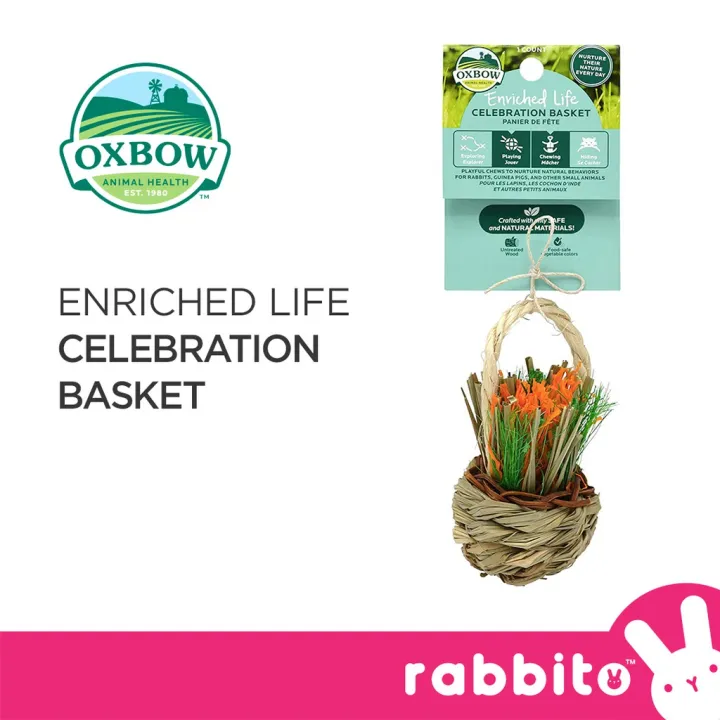 Oxbow Enriched Life Celebration Basket Toy for Rabbits, Guinea Pigs and