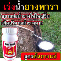 สารเร่งน้ำยางพารา ชนิดทา ( สูตร ต้นยางแก่ )  ขนาด 500 Cc. สารเร่งน้ำยาง ยาเร่งน้ำยาง สารทาหน้ายาง ยาทาหน้ายาง สารกระตุ้นน้ำยาง ฮอร์โมน ยาบำรุงหน้ายาง เครื่องมือต้นยางพารา เครื่องมือหน้ายางพารา เครื่องมือเปิดหน้ายาง อุปกรณ์เปิดหน้ายาง ยาบำรุงหน้ายาง