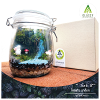 ชุดจัดสวนขวดแก้ว Terrarium Set 8. ครบเซ็ต ชุดจัดสวนขวด พร้อมส่ง