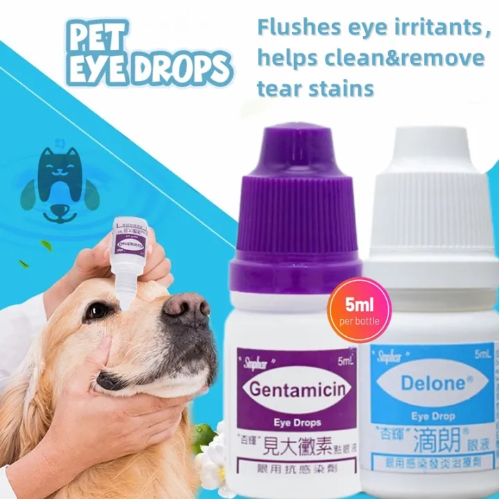 Hot sale Gentamicin Eye Drops for Pets 5ml Anti inflammation and