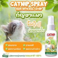 Catnip spray  สเปรย์หญ้าแมว ให้น้องแมวอารมณ์ดี ลดความเครียด ลดความก้าวร้าว 60 ml.