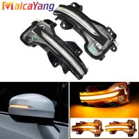 Newprodectscoming Dynamic Blinker For Honda Odyssey City CR V Fit Jazz Accord Spirior Hybrid XRV Vezel Turn Signal LED Side Mirror Indicator Light