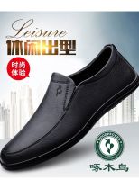 High-end Original Woodpecker mens shoes genuine leather spring and autumn bean shoes soft leather soft sole leather shoes mens casual new one-leg driving shoes