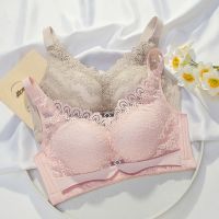 【CW】 Underwear Women 39;s Small Chest Gathered Medium Thick Lace Sexy Upper Support No Steel Ring Bra Upper Collection Accessory
