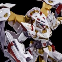 ?In-Stock? RG 1/144 Gundam Astray Gold Frame Heaven (Amatsu) Hana [P-BANDAI]