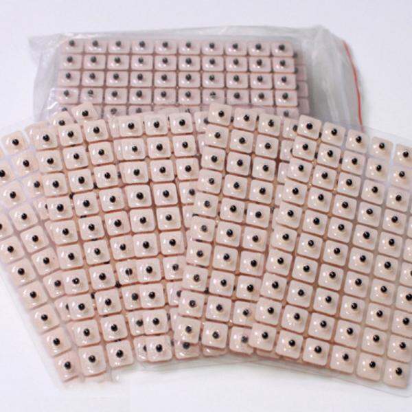 [PREORDER] Ear acupuncture points Auricular point acupuncture point