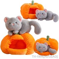 ◙▼❏ AEOZAD Gato cinza criativo em Ninho de Abóbora brinquedo pelúcia cachorro branco decoração Halloween boneca parsty para crianças presente aniversário