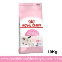 Royal Canin Mother &amp; Babycat [10kg] อาหารแมว รอยัล คานิน สำหรับลูกแมวและแม่แมว