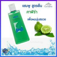 แชมพูสระผม สูตรเย็น กิฟฟารีน คาฟิร่า กลิ่นมะกรูด Giffarine Kaffira Shampoo #แชมพู #ยาสระผม