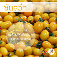 เมล็ดพันธุ์มะเขือเทศซันสวีท ตราพยัคฆ์ติดปีก 100 เมล็ด​ สีเหลืองพืช ผักสวนครัว