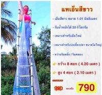 แหจานบิน แหฝรั่ง เอ็นสีขาว (ปลายห่วงโซ่) กว้าง 4.20 เมตร สูง2.10 เมตร (ตา2.5เซน) แหเอ็น อุปกรณ์จับปลา อุปกรณ์การประมง ลุงบุญมี