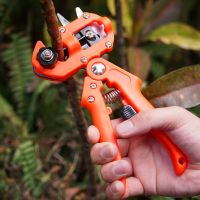 [AMO Garden Decoration]Professional Farming Pruning Shears Grafting กรรไกรผลไม้ Vaccination เครื่องมือผลไม้ Bonsai สำหรับ Home Garden