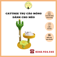 Cattree nhà cây trụ cào móng, ổ nằm và khung leo dành cho mèo hình cây