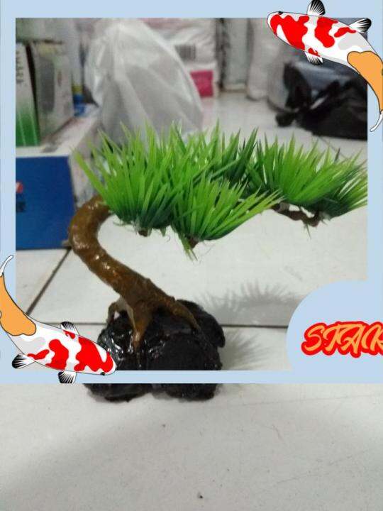 Aquarium Hiasan Tanaman Bonsai Lazada Indonesia
