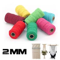 【YD】 100M/Roll 2mm Cotton Rope Colorful Twine Macrame Cord String Thread Crafts Braided Twisted Textile