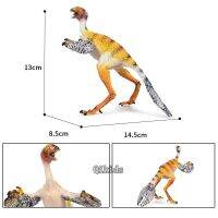 Simulação Estática Jurassic Era Chinês Pássaro Dragão Dinossauro Modelo De Plástico Animal Selvagem Brinquedo Decorão Dirão Para Brinquedo Para Boygift