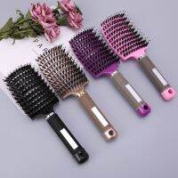 【YF】✲♗  Hairbrush Anti Klit Brushy Haarborstel Detangler Hair Bristle Scalp Massage Tangle Teaser Comb