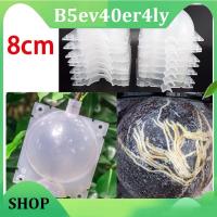 B5ev40er4ly SHOP B5ev40er4ly SHOP 5pcs 8cm Fruit Plant Tree Rooting Ball Root Box Plastic Case Transparent Grafting Rooter Growing High-pressure Breeding