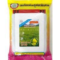 เมล็ดปอเทือง 1 kg ตราต้นไผ่ ของใหม่ ทนโรค รับประกันความงอก 80% ความบริสุทธิ์ 98% ราคาส่ง