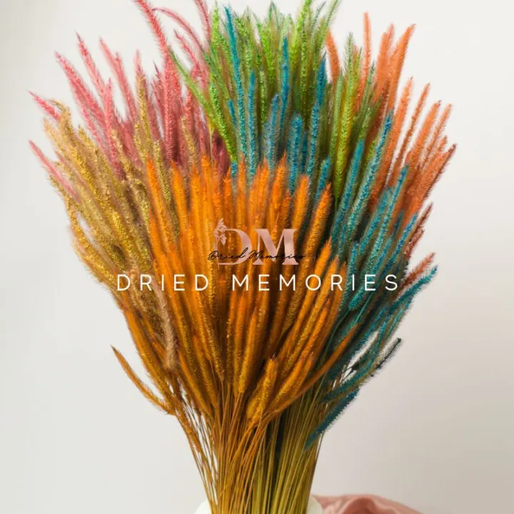 Dried Rattail Statice Bouquet