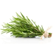 Lá hương thảo tươi Fresh Rosemary Puritan s Pride 100g gia vị ướp thịt bò