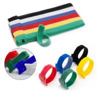 50/100PCS Detachable Cable Ties Colored Plastics Reusable Cable Ties Nylon Loop Wrap Zip Ttype Cable Tie Wire Bandage Tie Cable Management