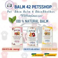 42Pets Balm Stick บาล์มสุนัข ชนิดแท่ง สูตร All-In-One 10 กรัม (มีหลายกลิ่น)บำรุงผิวหนัง (บาล์มแมว บาล์มหมา)