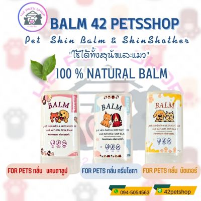 Balm Stick บาล์ม สุนัข แมว 10g ช่วยฟื้นฟู บำรุงผิวหนัง อุ้งเท้า ข้อศอก จมูก บริเวณแห้ง แตกกร้าน ลาย เพิ่มความชุ่มชื้น ปลอดภัยต่อสัตว์เลี้ยง