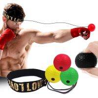 （A New Well Sell ） BoxingSpeed Reaction Hand Eye Training Gym MuayFitness Exercise Boxe Accessories