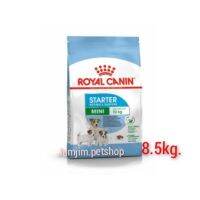 ส่งฟรีทุกรายการ Royal​ Canin​ 8.5kg.mini Star​terสำหรับแม่สุนัขตั้งท้องและให้นมลูก และลูกสุนัขหลังหย่านมถึงอายุ 2 เดือน