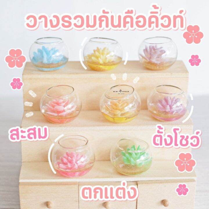 ms5135-โมเดลกระบองเพชรปลอมโหลแก้ว-โหลกระบองเพชร-ถ่ายจากสินค้าจริง-จากไทย