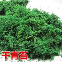 [COD] Dried moss green stained landscaping micro-landscape flower bonsai potted pavement decoration simulation