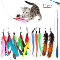 【A Smart and Cute】11 Pcs Cat Feather Toy Teaser Stick Wand Pet Retractable Bell Refill Replacement Catcher Product For Kitten