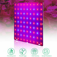 Studyset IN stock 169 Leds Grow Light Indoor Hydroponic Plant Vegetable Full Spectrum Energy Saving Growing Lamp